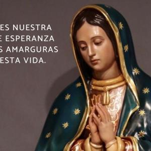 Frases de la Virgen de Guadalupe