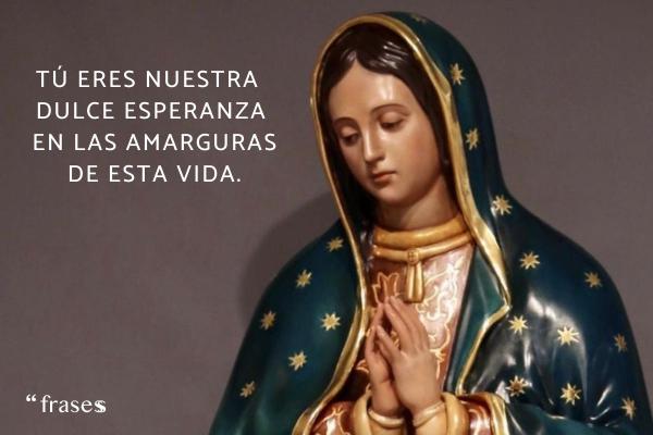 FRASES cortas para la Virgen de GUADALUPE: qué Oraciones, mensajes