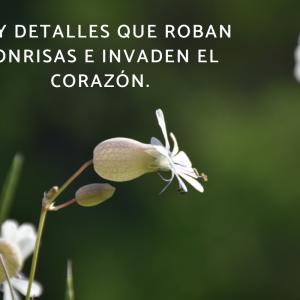 Frases de detalles inesperados