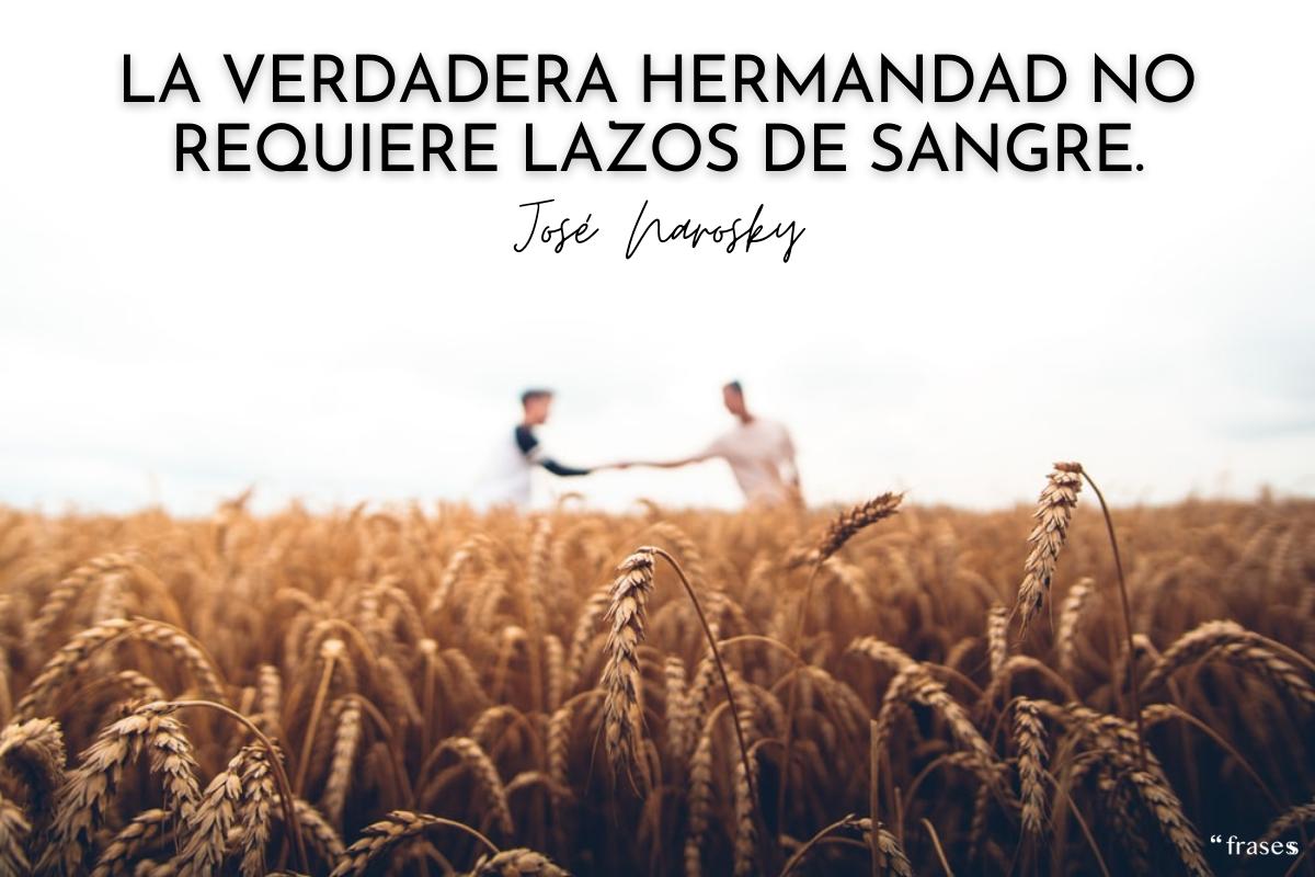 Frases de hermandad